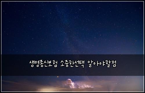 생명종신보험 소중한선택  알아야할점