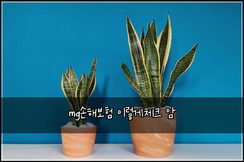 mg손해보험 이렇게체크  암