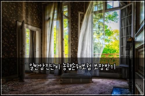 ์ผ๋ฐ์์ง๋จ๋น ๋ํ์ํด๋ณดํ ๋ณด์ฅ๋ฐ๊ธฐ