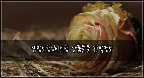 μλͺ
보νμ€λΉλ³΄ν μνλ€μ μλ²½μ 보