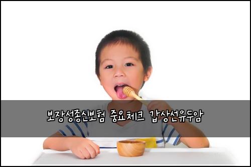 ๋ณด์ฅ์ฑ์ข
์ ๋ณดํ ์ค์์ฒดํฌ ๊ฐ์์ ์ ๋์