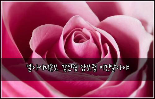 ์์์ด์ง์๋ณด ๊ฐฑ์ ํ ์๋ณดํ ์ด๊ฑด์์์ผ