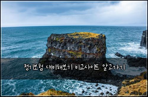 정기보험 대비해보기  비교사이트 알고가기