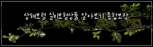 상해보럼 실비보험상품 알아보기 종합보장