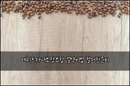 ๋ฉ๋ฆฌ์ธ ์๋
๋ณด์ฅ๋ณดํ ์ ์ฝ๋น๋ฒ ์ฒ ์ ํ์ค๋น