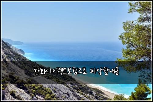 ํํ๋ค์ด๋ ํธ๋ณดํ์ผ๋ก ํ์
ํ ๋ด์ฉ