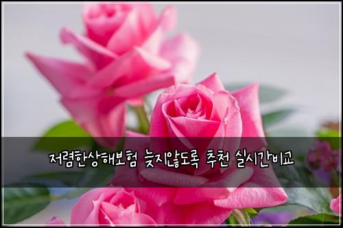 ์ ๋ ดํ์ํด๋ณดํ ๋ฆ์ง์๋๋ก ์ถ์ฒ ์ค์๊ฐ๋น๊ต
