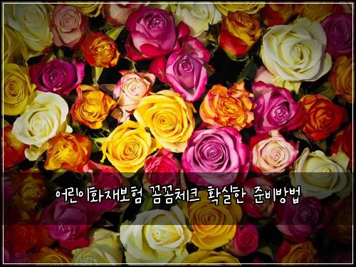 ์ด๋ฆฐ์ดํ์ฌ๋ณดํ ๊ผผ๊ผผ์ฒดํฌ ํ์คํ ์ค๋น๋ฐฉ๋ฒ