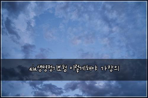 aia생명정기보험 이렇게해야  가장의