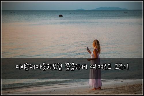 디비손해자동차보험 꼼꼼하게 따져보고 고르기