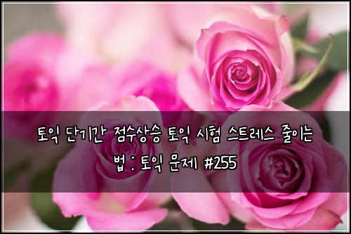 ํ ์ต ๋จ๊ธฐ๊ฐ ์ ์์์น ํ ์ต ์ํ ์คํธ๋ ์ค ์ค์ด๋ ๋ฒ : ํ ์ต ๋ฌธ์ #255