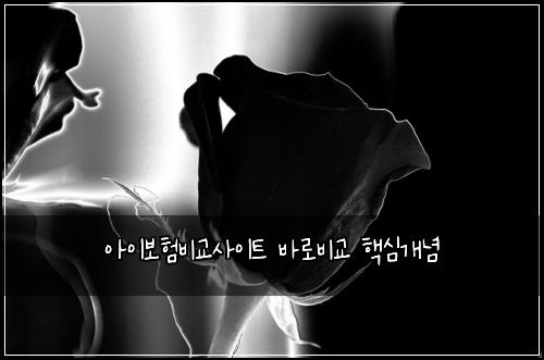 아이보험비교사이트 바로비교 핵심개념