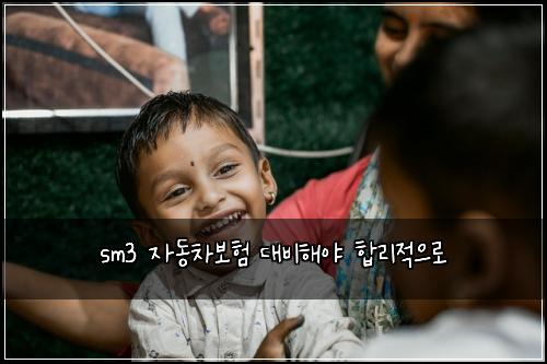sm3 ์๋์ฐจ๋ณดํ ๋๋นํด์ผ ํฉ๋ฆฌ์ ์ผ๋ก