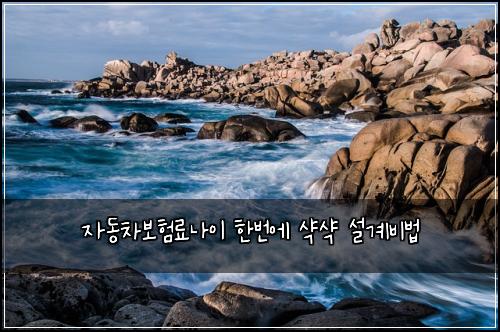 자동차보험료나이 한번에 샥샥 설계비법