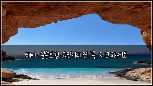태아 실손보험 고민이라면 꼭 체크하세요
