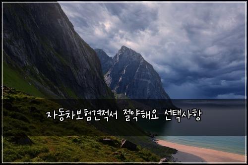 자동차보험견적서 절약해요 선택사항