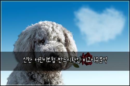 ์ ํ ์ด๋ฆฐ์ด๋ณดํ ๋ฐ๋์ํ์ธ ๋น๊ต์ด์ ๋ถ์