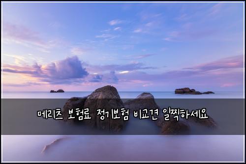 메리츠 보험료 정기보험 비교견 일찍하세요