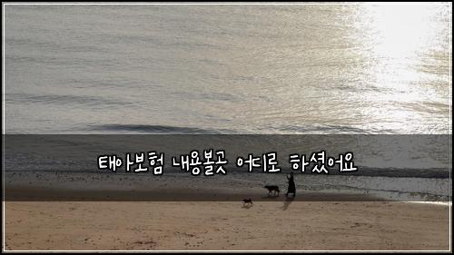 ํ์๋ณดํ ๋ด์ฉ๋ณผ๊ณณ ์ด๋๋ก ํ์
จ์ด์