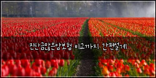 ์ง๋จ๊ธ๋ง์์๋ณดํ ๋น๊ต๊น์ง ๊ฐํธ์ค๊ณ