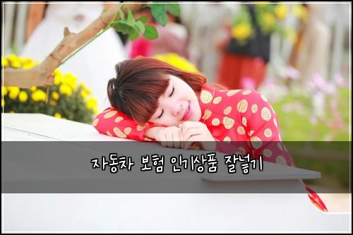 자동차 보험 인기상품  잘넣기