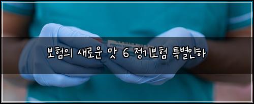 보험의 새로운 맛 6 정기보험 특별인하