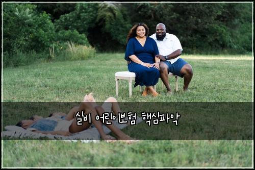 실비 어린이보험 핵심파악 