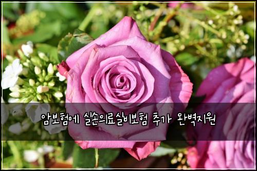 암보험에 실손의료실비보험 추가 완벽지원