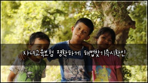 자녀교육보험 졍확하게  해법찾기즉시확인