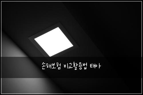 손해보험 비교활용법  태아