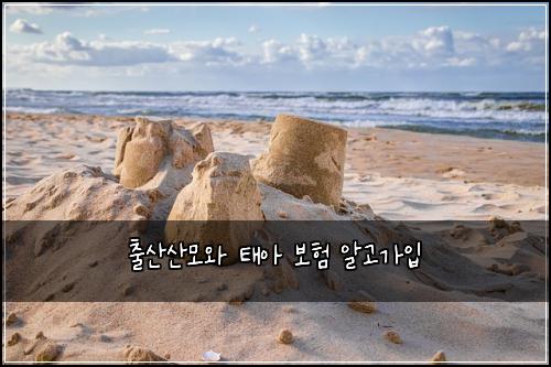 ์ถ์ฐ์ฐ๋ชจ์ ํ์ ๋ณดํ ์๊ณ ๊ฐ์