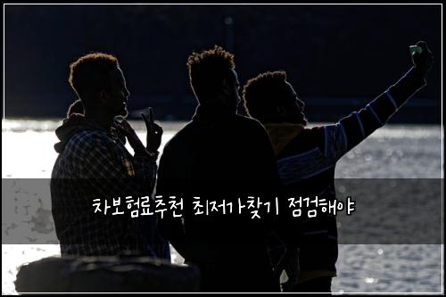 차보험료추천 최저가찾기 점검해야