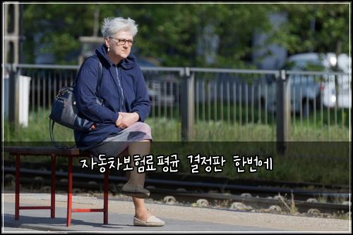 자동차보험료평균 결정판 한번에