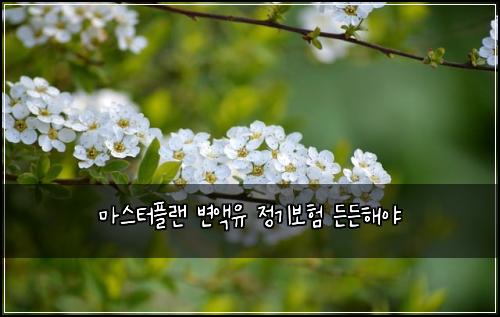 마스터플랜 변액유 정기보험 든든해야 