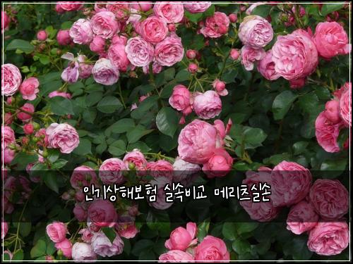 ์ธ๊ธฐ์ํด๋ณดํ ์ค์๋น๊ต ๋ฉ๋ฆฌ์ธ ์ค์