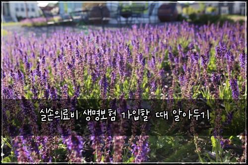 실손의료비 생명보험 가입할 때 알아두기