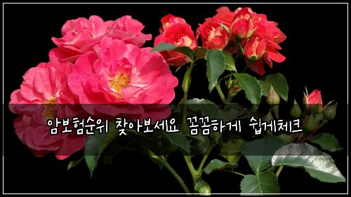 ์๋ณดํ์์ ์ฐพ์๋ณด์ธ์ ๊ผผ๊ผผํ๊ฒ ์ฝ๊ฒ์ฒดํฌ