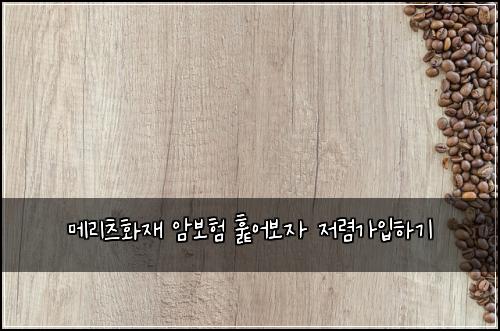 ๋ฉ๋ฆฌ์ธ ํ์ฌ ์๋ณดํ ํ์ด๋ณด์ ์ ๋ ด๊ฐ์
ํ๊ธฐ