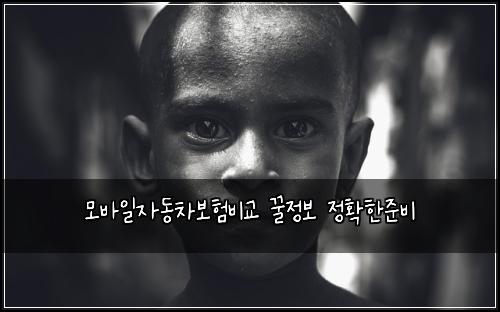 ๋ชจ๋ฐ์ผ์๋์ฐจ๋ณดํ๋น๊ต ๊ฟ์ ๋ณด ์ ํํ์ค๋น