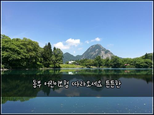 ๋๋ถ ์ด๋ฆฐ์ด๋ณดํ ๋ฐ๋ผ์ค์ธ์ ํผํผํ