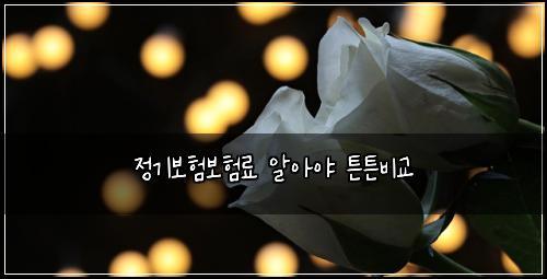 정기보험보험료 알아야 튼튼비교