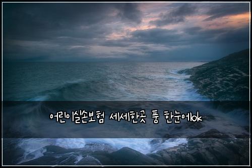 어린이실손보험 세세한곳  풍 한눈에ok
