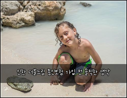 신한 더블드림 종신보험 가입 전 솔직한 생각
