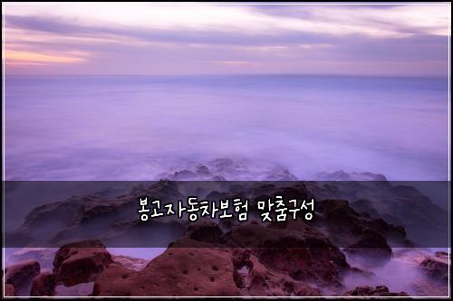 λ΄κ³ μλ차보ν λ§μΆ€κ΅¬μ±