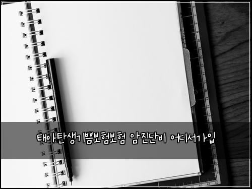태아탄생기쁨보험보험 암진단비 어디서가입