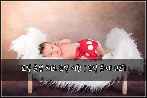 토익 문법 체크 토익 시험 : 토익 문제 #271