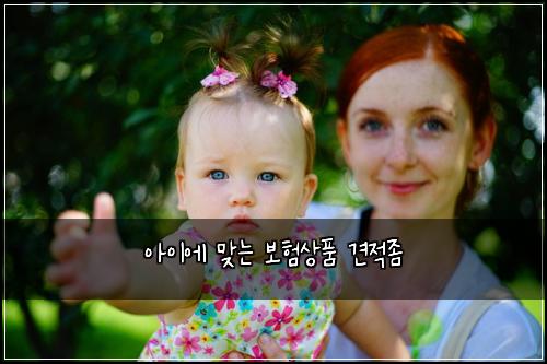 ์์ด์ ๋ง๋ ๋ณดํ์ํ ๊ฒฌ์ ์ข