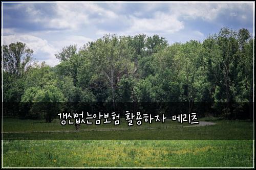 갱신없는암보험 활용하자  메리츠