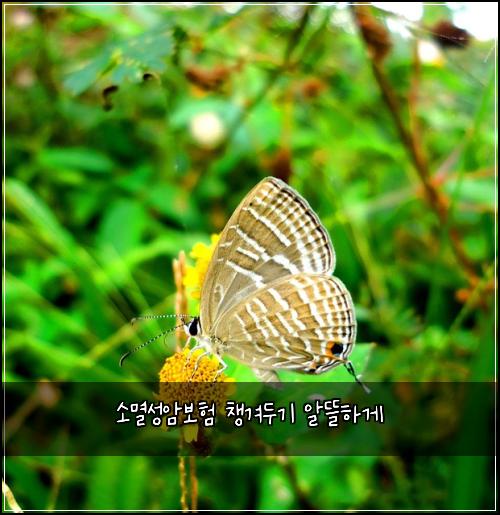 ์๋ฉธ์ฑ์๋ณดํ ์ฑ๊ฒจ๋๊ธฐ ์๋ฐํ๊ฒ