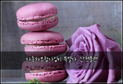 μλ차보νκ°μ
λΉ νΉλ³κ° κ°νΈνλ